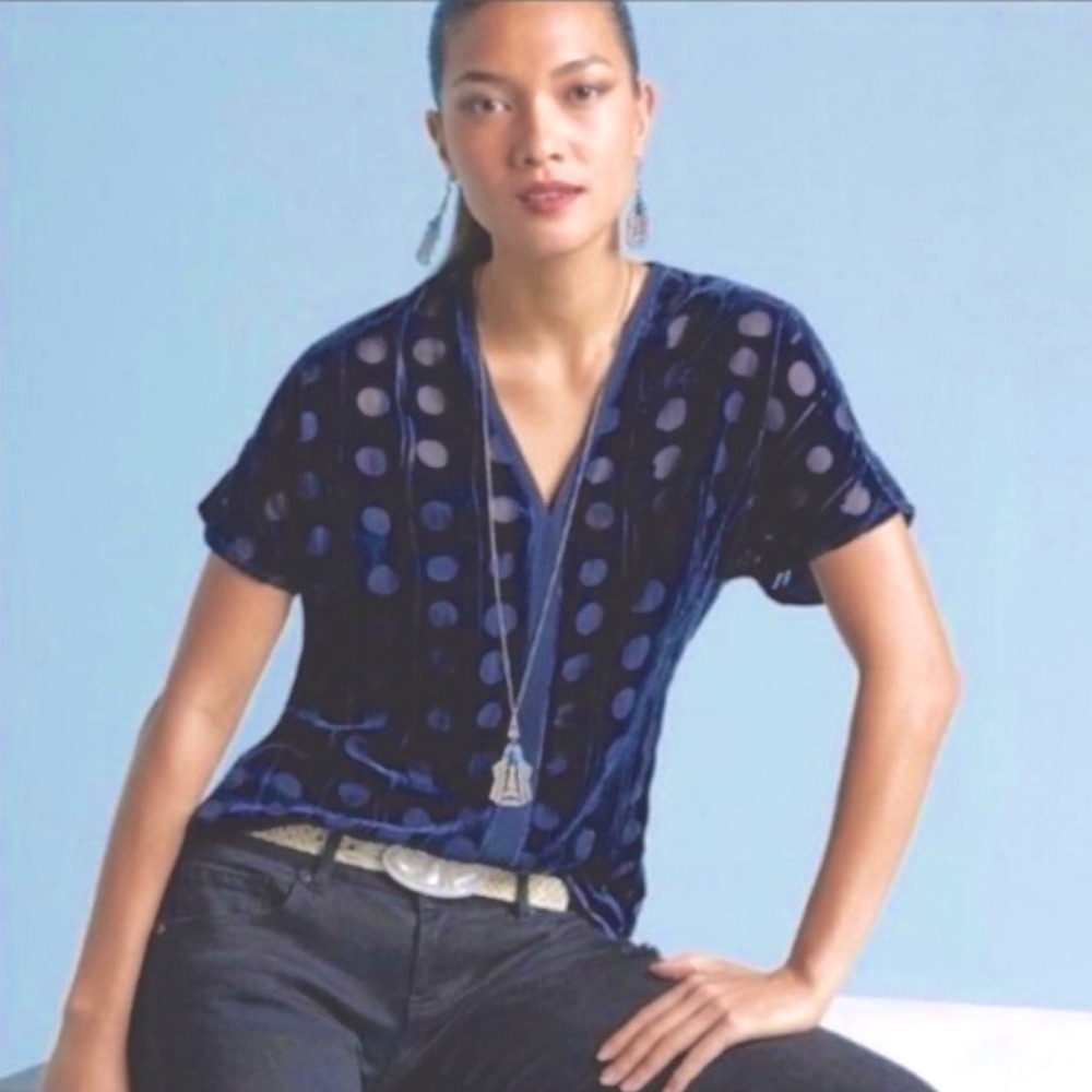 Cabi Spot On Navy Blue Velvet Burnout Blouse #3507 Sz M